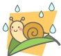 梅雨　Rainy season